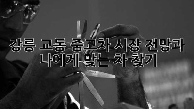 강릉 교동 중고차 시장 전망과 나에게 맞는 차 찾기